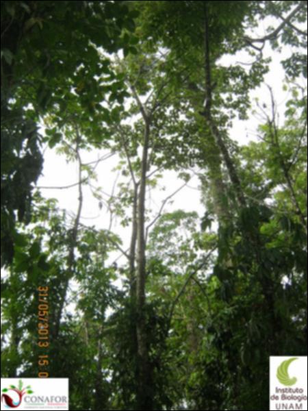 72326_S4_ARC_20130531_007_002.jpg.jpg