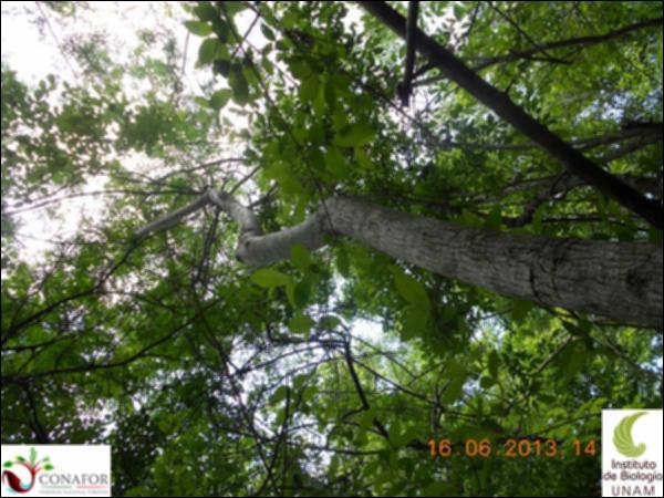 50270_S1_ARC_20130616_048_001.jpg.jpg