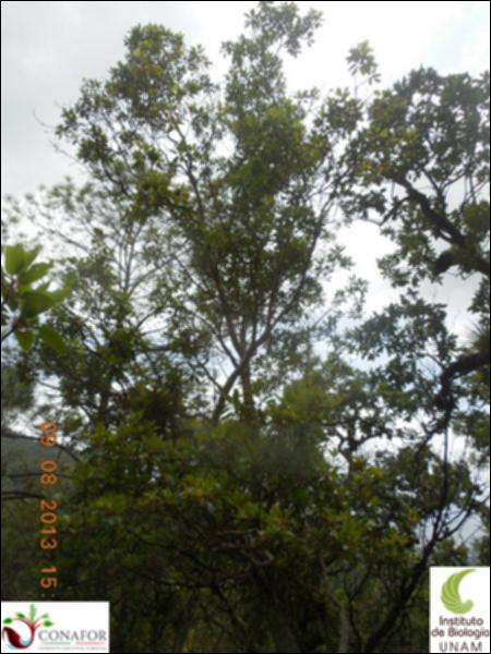 72032_S1_ARC_20130809_011_002.jpg.jpg