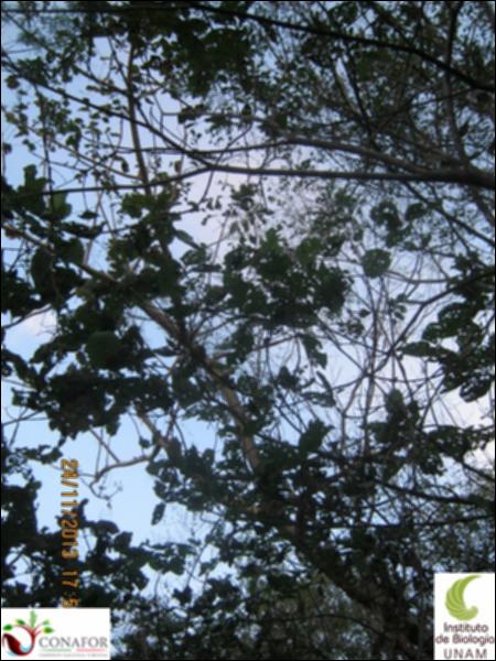 68072_S3_ARC_20131124_008_002.jpg.jpg