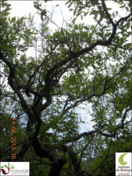 75164_S1_ARC_20130614_005_002.jpg.jpg