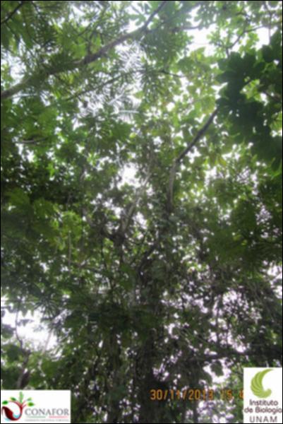52308_S3_ARC_20131130_010_002.jpg.jpg