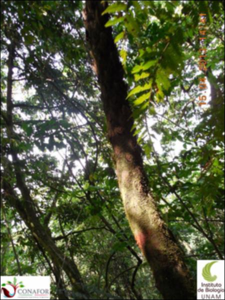 51833_S1_ARC_20130414_008_001.jpg.jpg