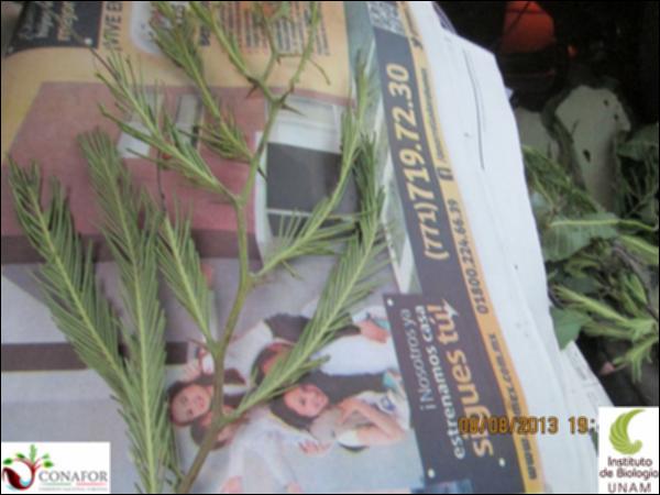 54052_S4_HJ2_20130808_001.jpg.jpg