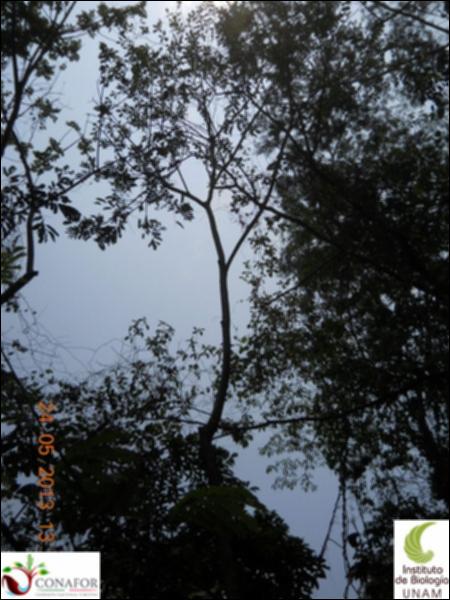 73788_S4_ARC_20130523_007_003.jpg.jpg