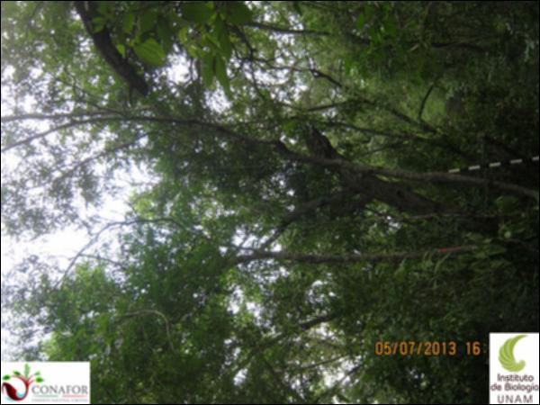 38122_S1_ARC_20130705_015.jpg.jpg