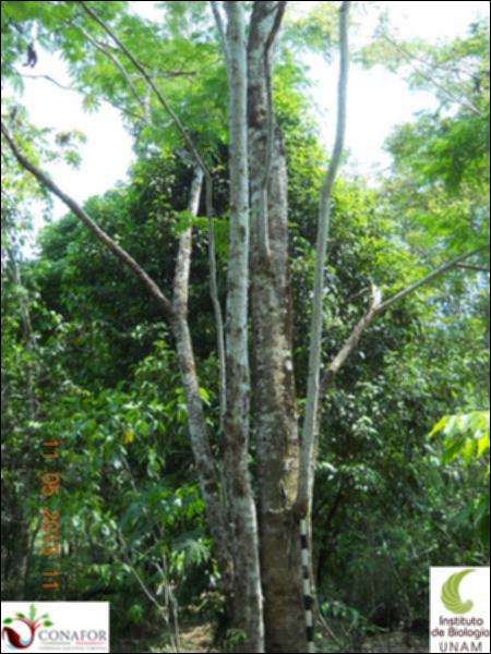71892_S1_ARC_20130510_001_001.jpg.jpg