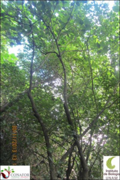 52308_S1_ARC_20131130_003_002.jpg.jpg