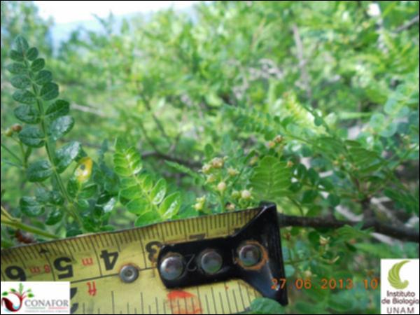 75926_S1_FLR_20130626_003_001.jpg.jpg