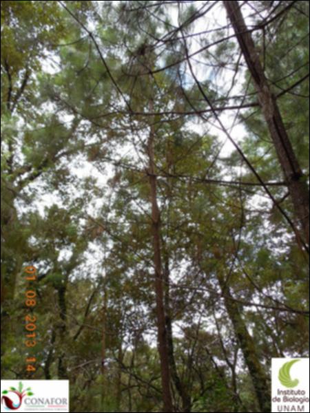 76839_S1_ARC_20130801_007_002.jpg.jpg