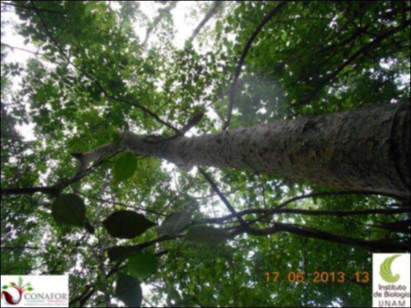 51199_S1_ARC_20130614_001_001.jpg.jpg