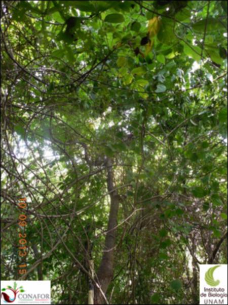 73038_S1_ARC_20130909_015_002.jpg.jpg