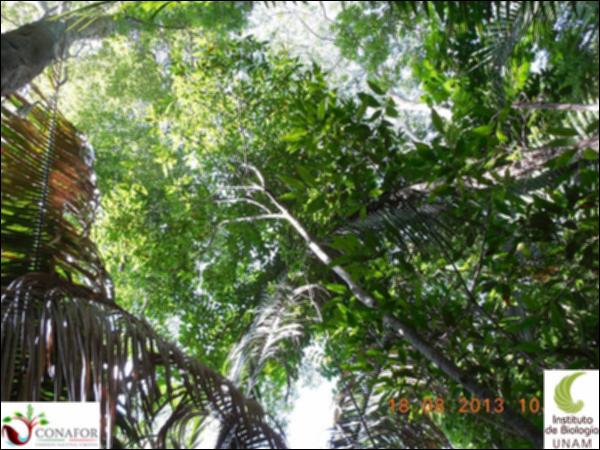 77345_S1_ARC_20130817_003_002.jpg.jpg