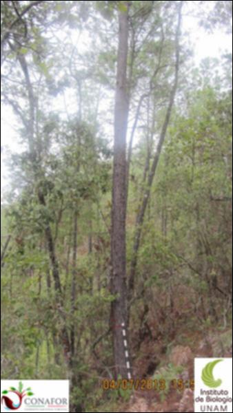75149_S4_ARC_20130704_002_001.jpg.jpg