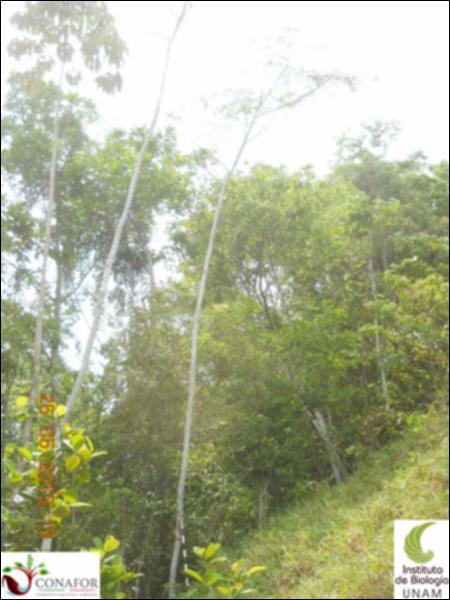 72520_S2_ARC_20130524_001_001.jpg.jpg