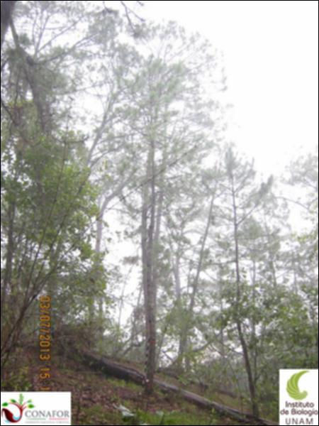62310_S1_ARC_20130703_001.jpg.jpg
