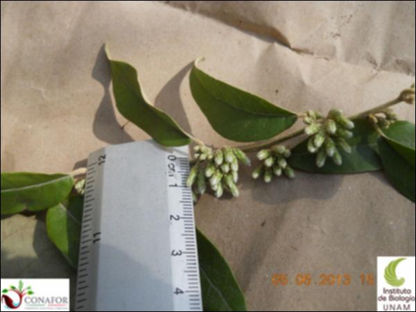73568_S2_FRT_20130504_007_001.jpg.jpg