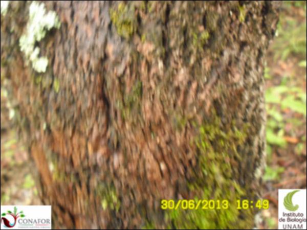 61581_S1_CRT_20130702_004.jpg.jpg