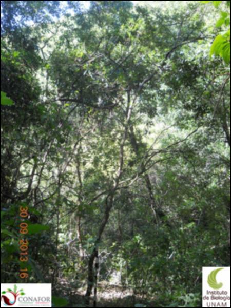 70736_S2_ARC_20130930_008_001.jpg.jpg
