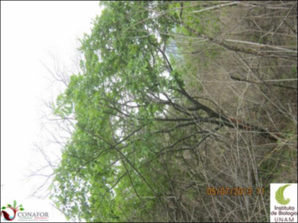 60306_S2_ARC_20130705_001.jpg.jpg