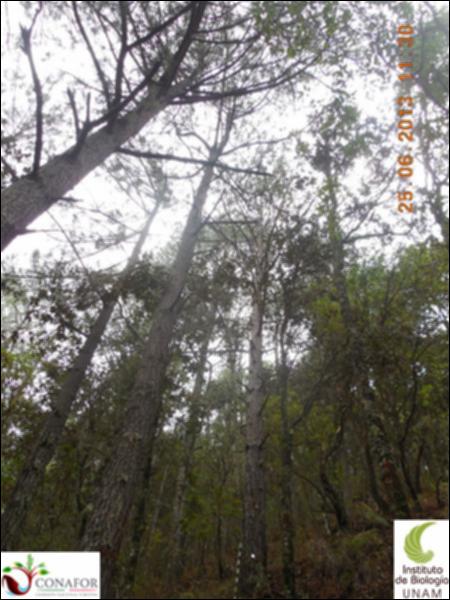 76964_S1_ARC_20130625_041_001.jpg.jpg