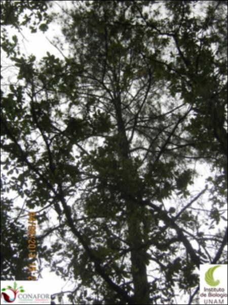 72899_S2_ARC_20130804_032_002.jpg.jpg