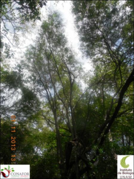 68540_S1_ARC_20131101_006_002.jpg.jpg