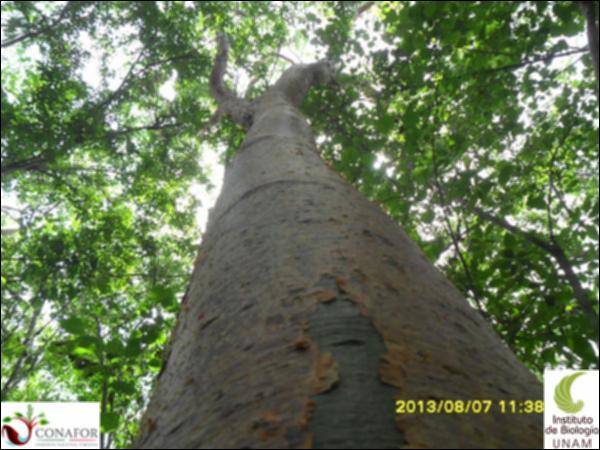 54444_S4_ARC_20130807_003_001.jpg.jpg