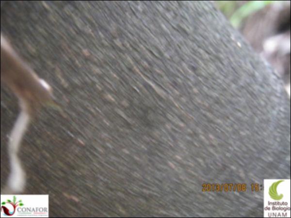 50076_S4_CRT_20130708_009.jpg.jpg