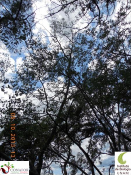 66397_S1_ARC_20131005_024_002.jpg.jpg