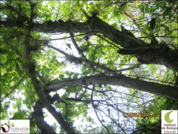 49574_S1_ARC_20130615_014_001.jpg.jpg