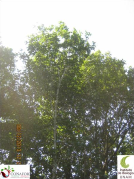 55367_S2_ARC_20131208_001_002.jpg.jpg