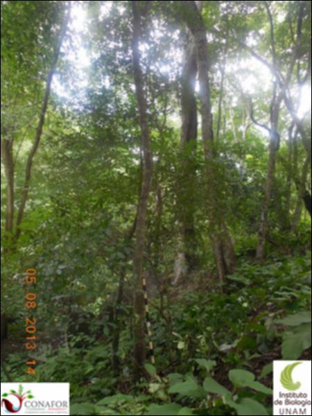 76829_S1_ARC_20130805_005_001.jpg.jpg