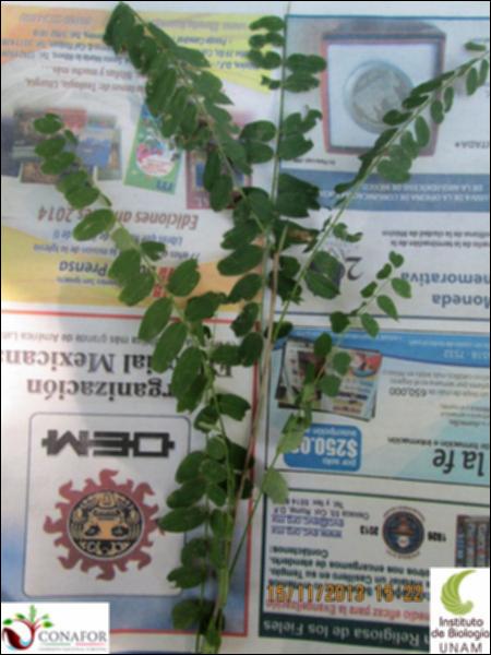 60246_S1_HJ1_20131115_004.jpg.jpg