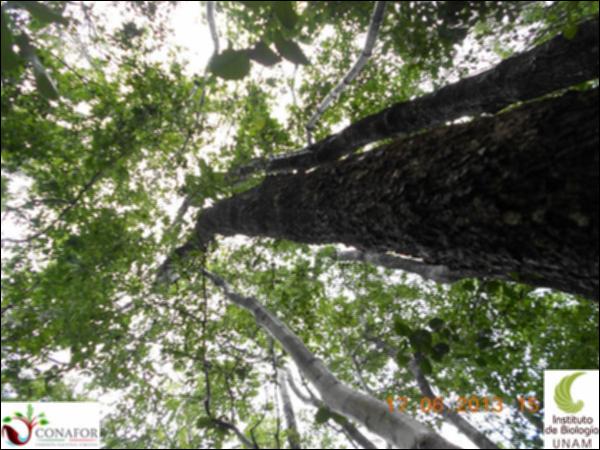 51199_S4_ARC_20130614_047_001.jpg.jpg