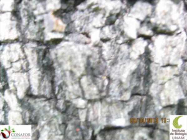 47613_S3_CRT_20131003_006.jpg.jpg