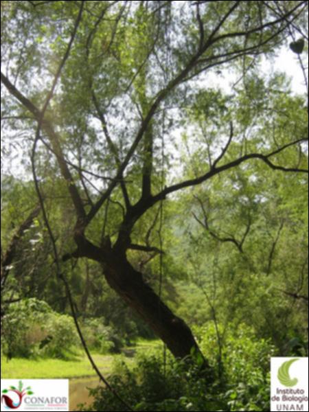 57966_S1_ARC_20130810_001.jpg.jpg