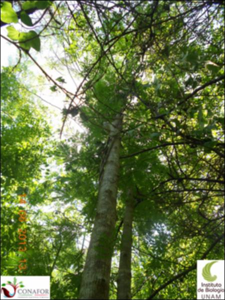 49807_S3_ARC_20130614_004_001.jpg.jpg