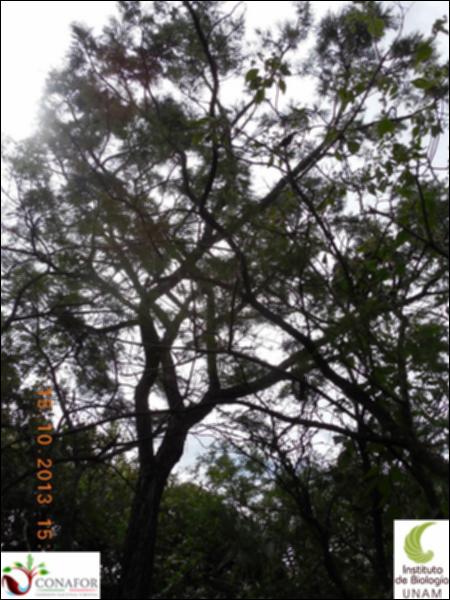 63889_S1_ARC_20131015_008_002.jpg.jpg