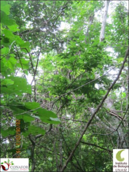 77577_S1_ARC_20130628_021_002.jpg.jpg