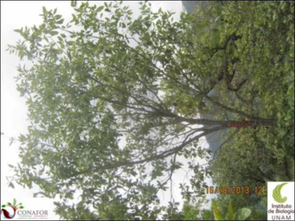 48254_S3_ARC_20131016_001.jpg.jpg