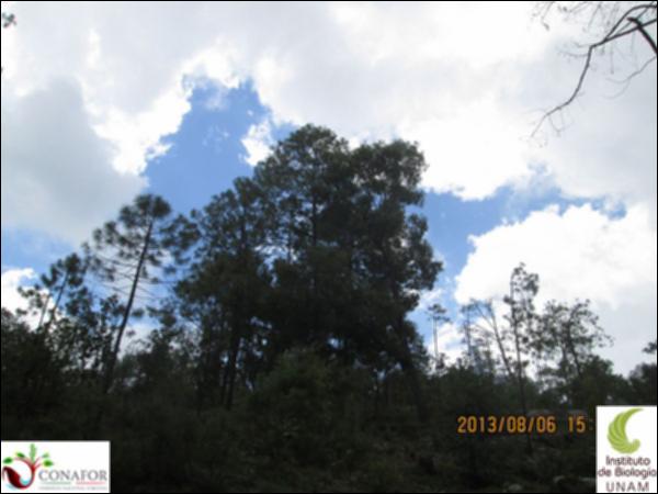 45774_S1_ARC_20130806_002.jpg.jpg