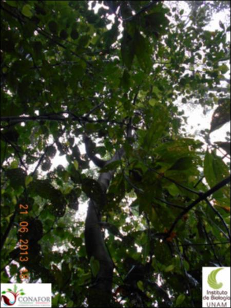 77370_S3_ARC_20130621_020_002.jpg.jpg