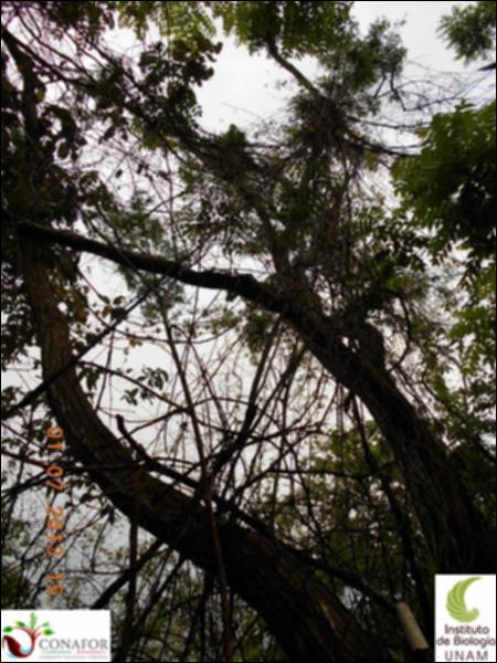 77441_S2_ARC_20130701_025_002.jpg.jpg