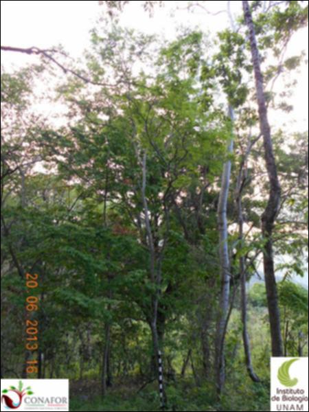 77183_S4_ARC_20130620_008_001.jpg.jpg