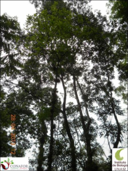 64717_S1_ARC_20130427_001_002.jpg.jpg