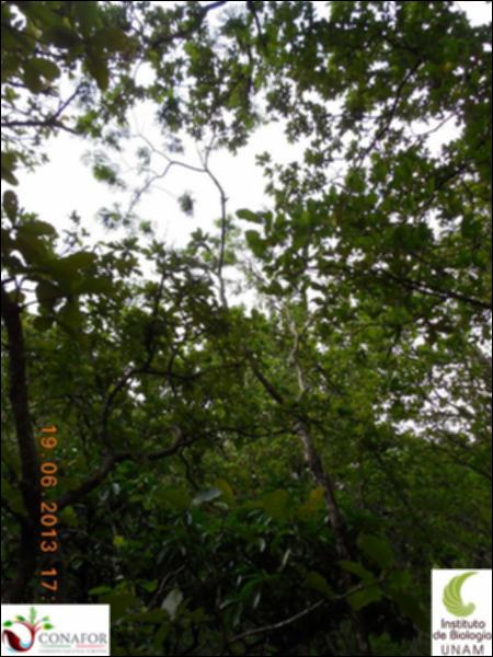 76979_S2_ARC_20130619_001_002.jpg.jpg