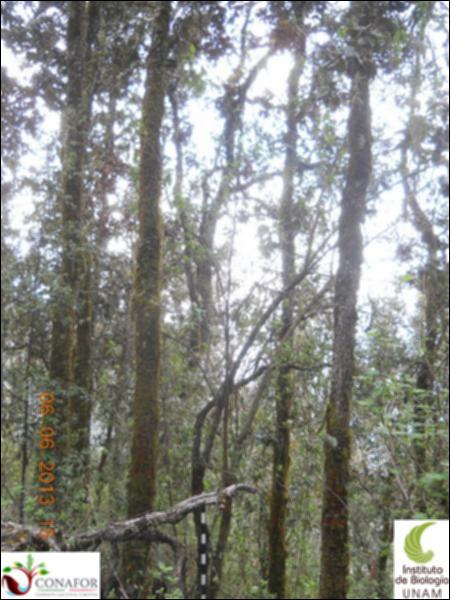 72909_S4_ARC_20130606_014_001.jpg.jpg