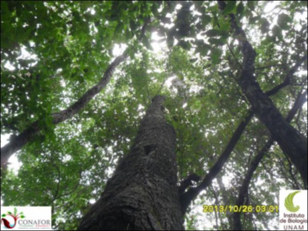 57652_S4_ARC_20131026_028_001.jpg.jpg