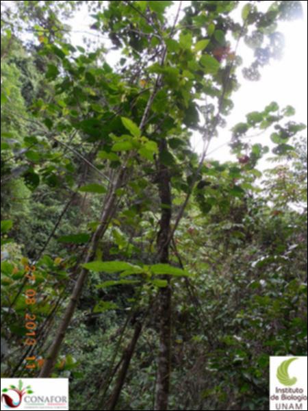 72500_S1_ARC_20130824_003_03.jpg.jpg